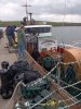 scapa_11