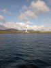 scapa_21