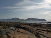 scapa_22
