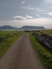 scapa_26