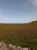 scapa_28